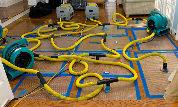 Professional Crawl Space Water Removal technician working in McDonough, GA